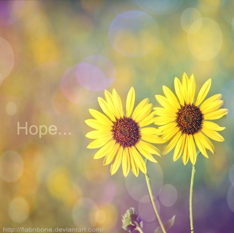 Two Sunflowers — Yellow, Serene