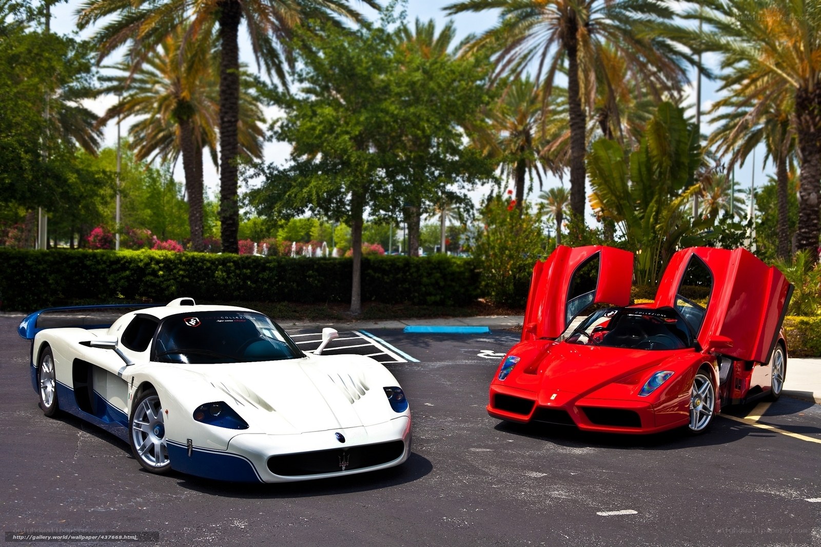Two supercars parked outdoors