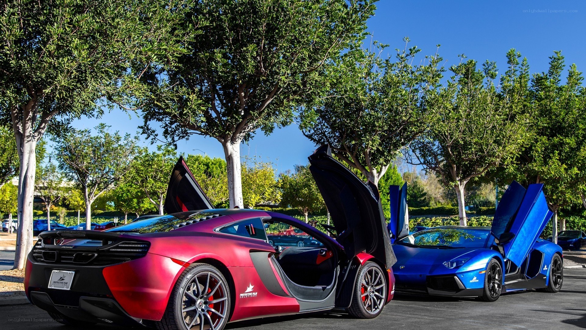 Two supercars with doors open