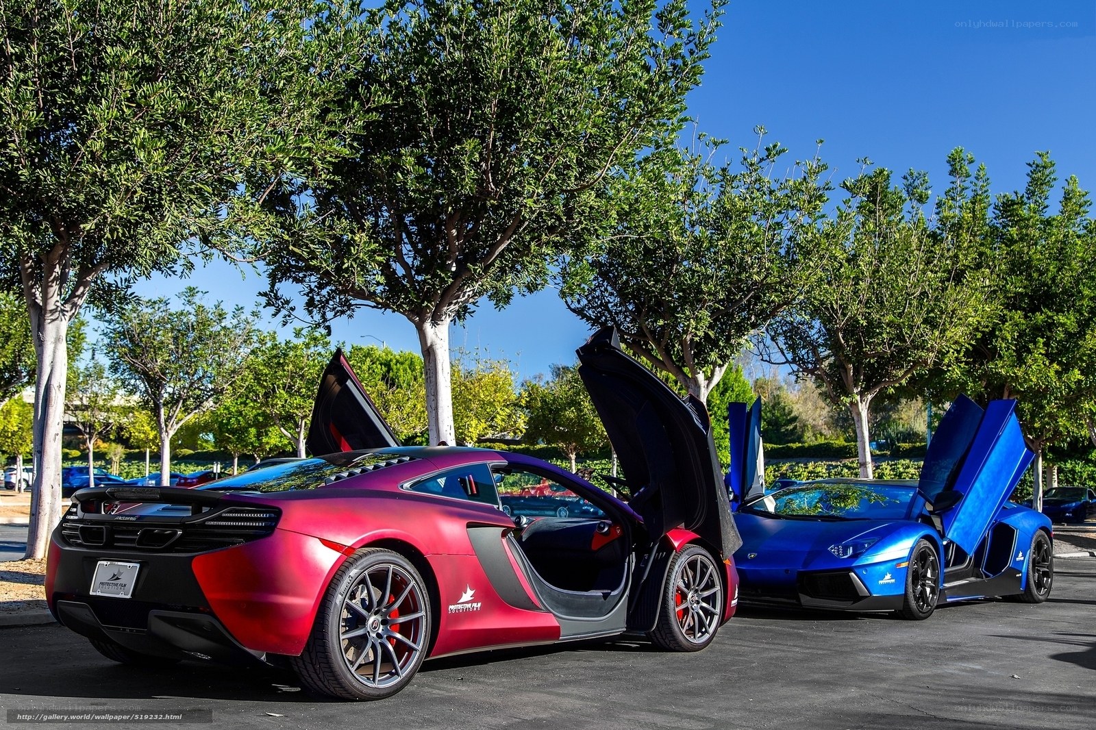 Two supercars with doors open