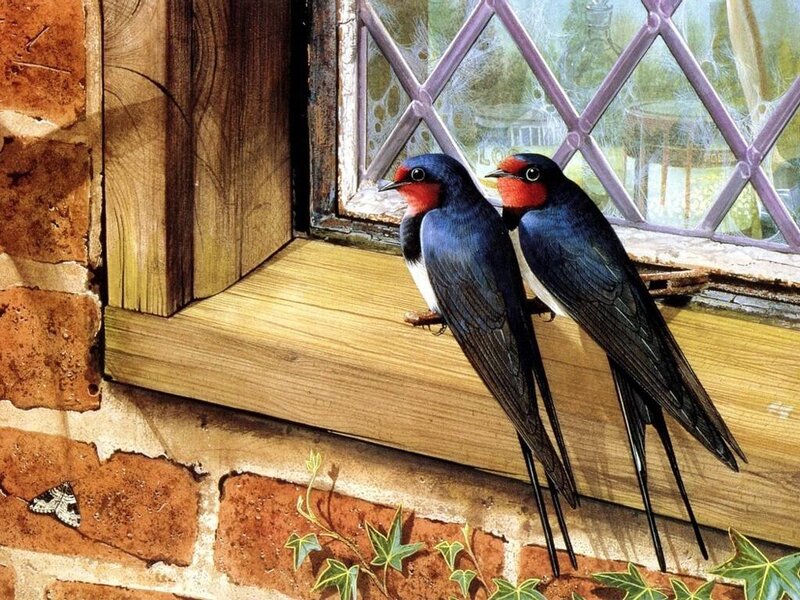 Two Swallows on Windowsill — Blue, Serene