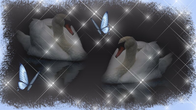 Two Swans and Butterflies
