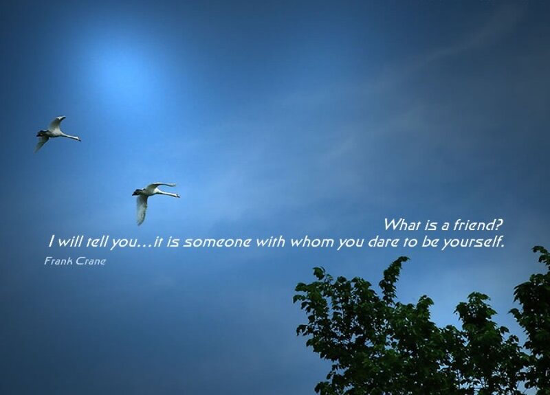 Two Swans Flying — Blue