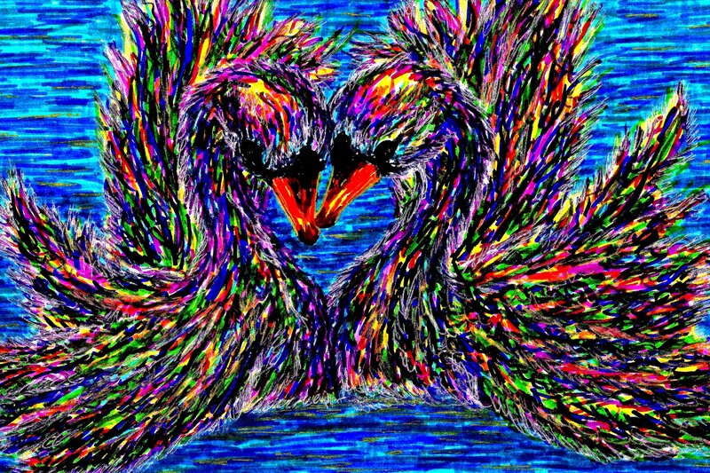 Two Swans Forming Heart — Blue, Vibrant