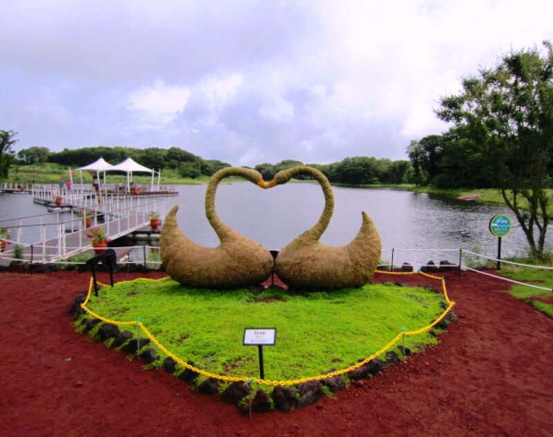 Two Swans Forming Heart — Green