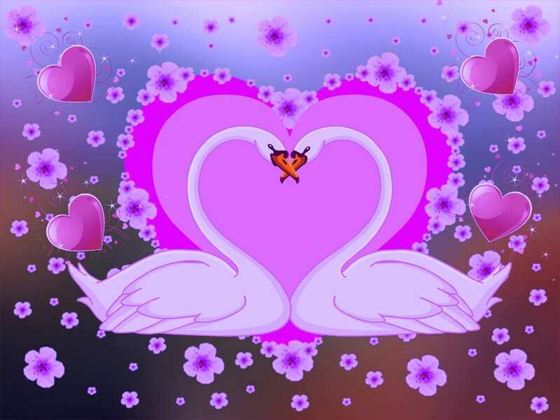 Two Swans Forming Heart — Purple, Romantic