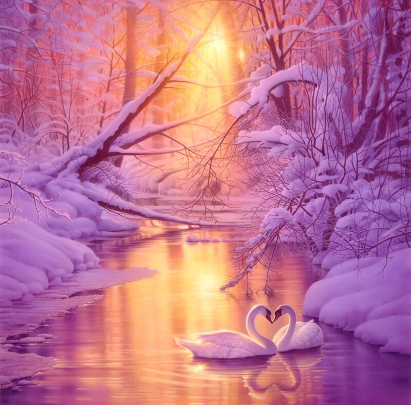 Two Swans Forming Heart — Purple