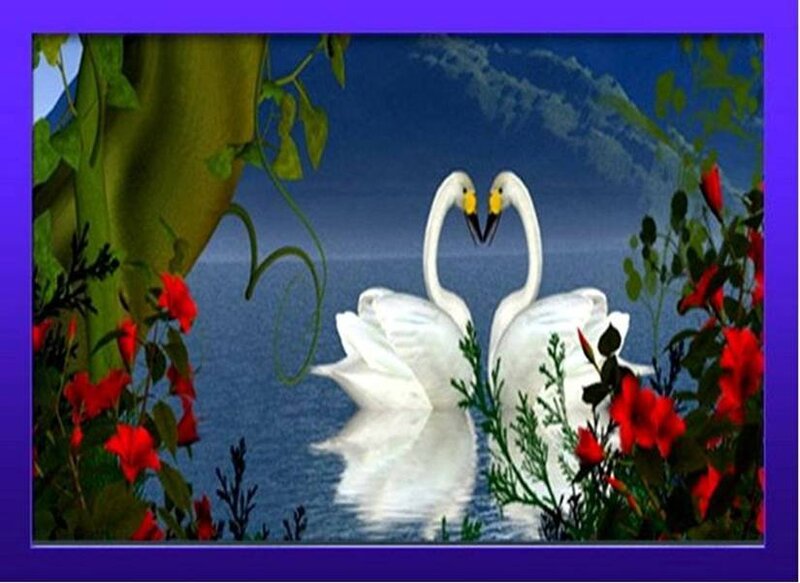 Two Swans Forming Heart — White, Serene, Digital Art, Flowers