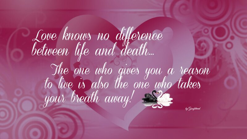 Two Swans in Heart
