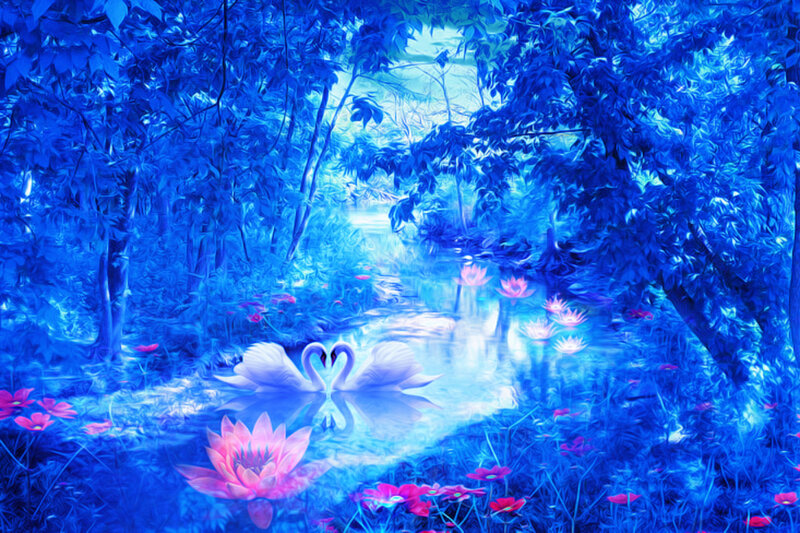 Two Swans in Pond — Blue