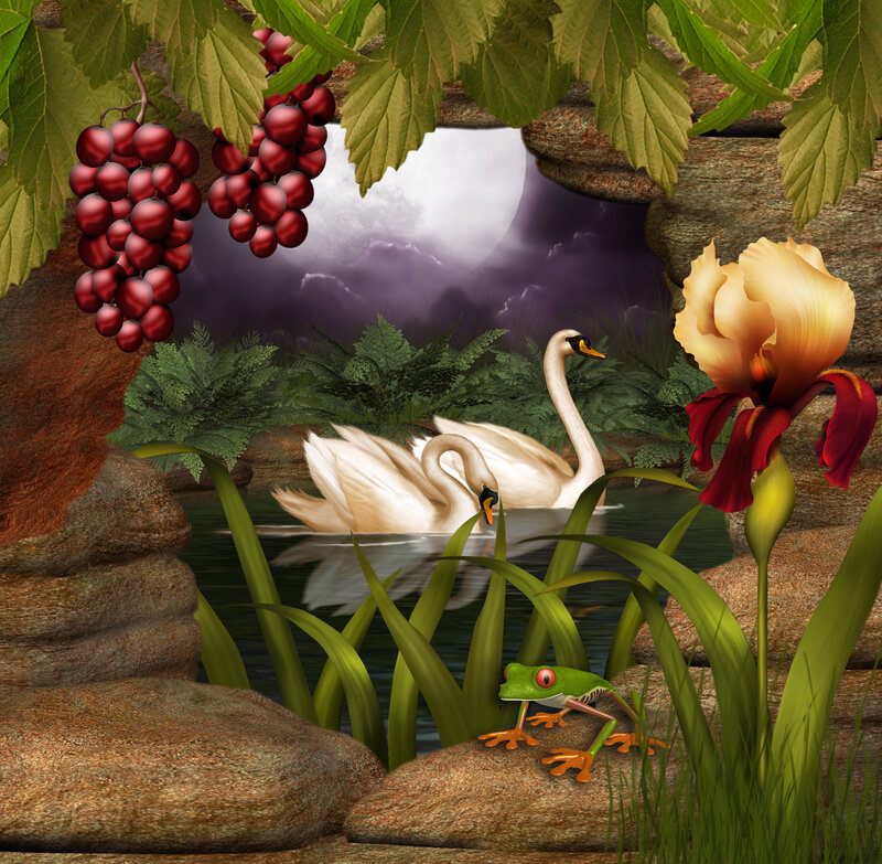 Two Swans in Pond — Green, Serene, Night
