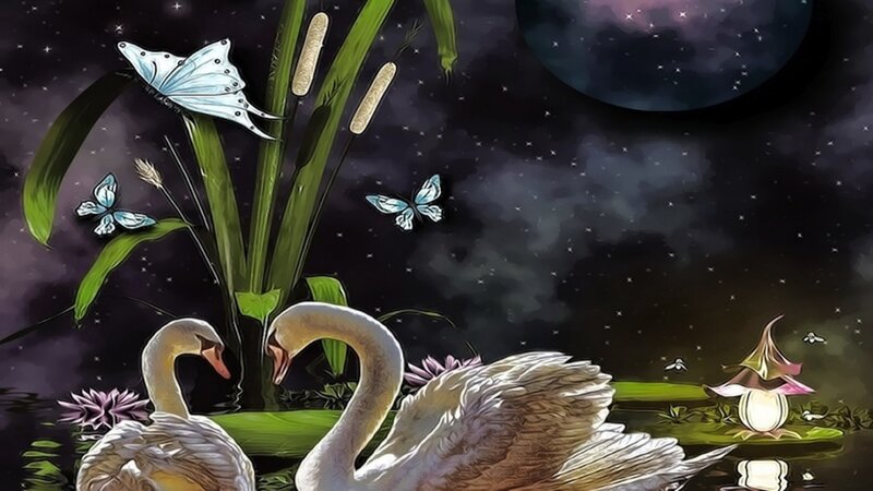 Two Swans in Pond — Purple, Serene