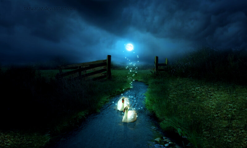 Two Swans in Stream — Blue