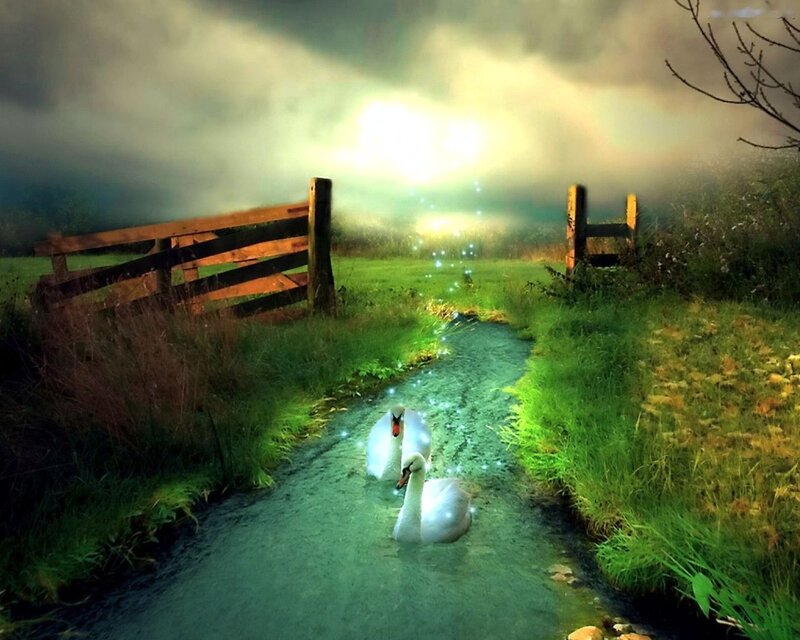 Two Swans in Stream — Green