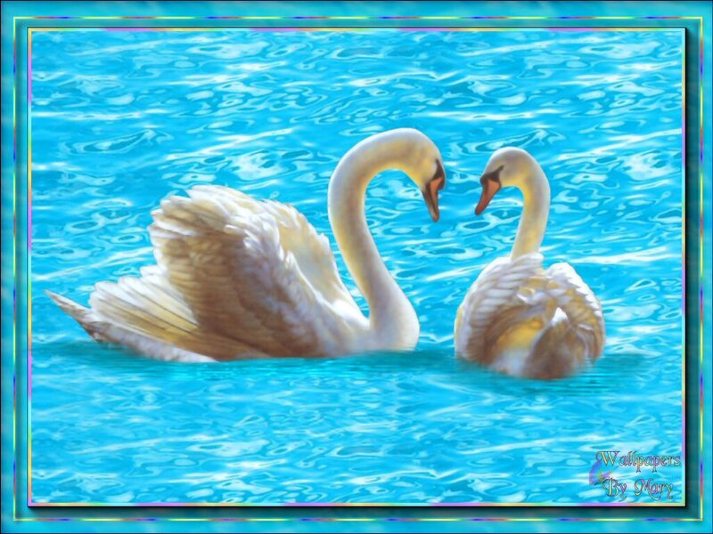 Two Swans in Water — Blue, Serene, Digital Art