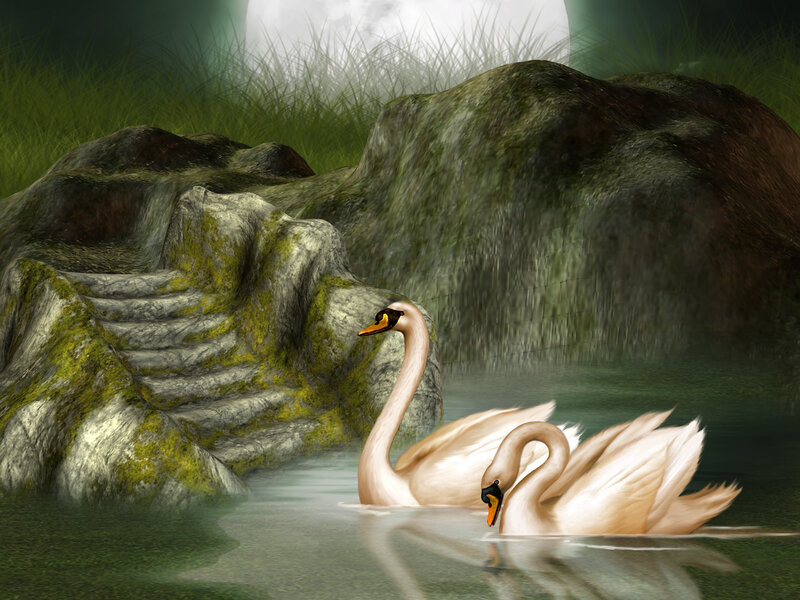 Two Swans in Water — Green, Serene, Night