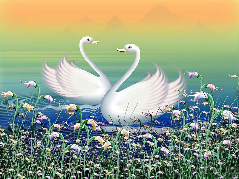 Two Swans in Water — Green, Serene, Sunset