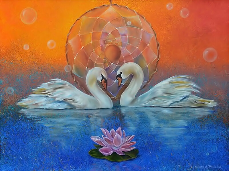 Two Swans in Water — Orange