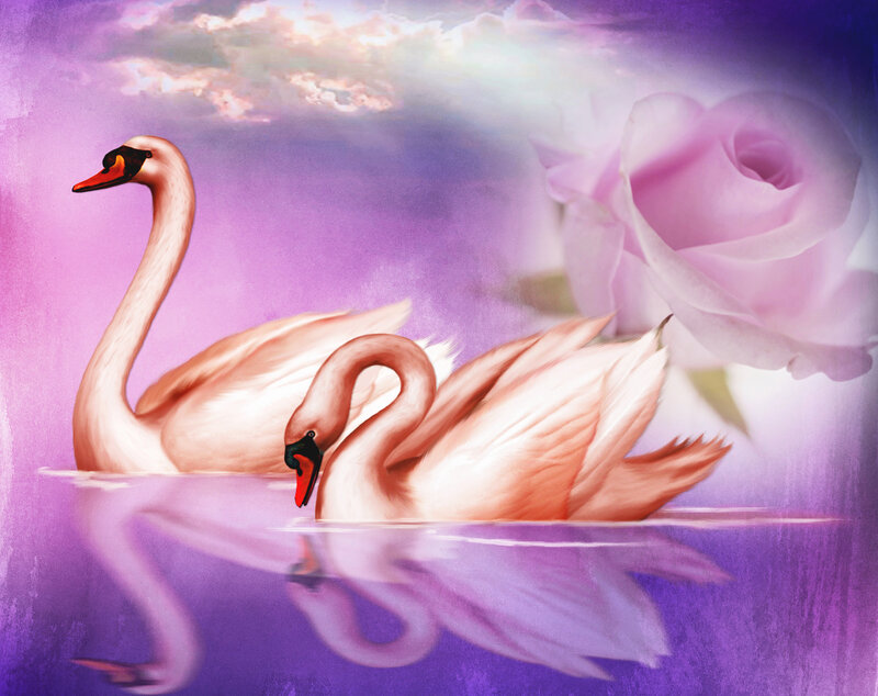 Two Swans in Water — Purple