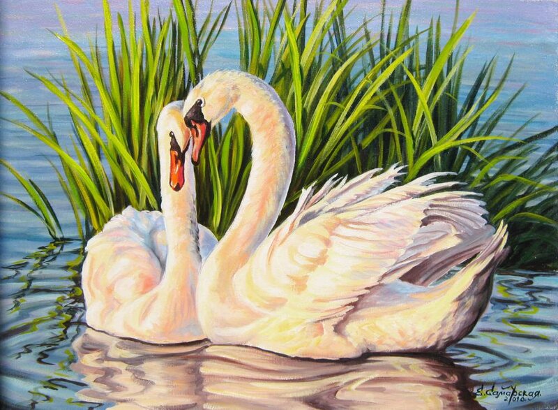 Two Swans in Water — White, Serene, Painting, Grass