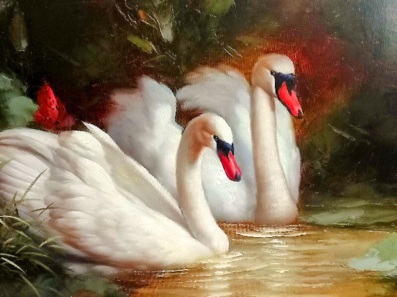 Two Swans in Water — White, Serene, Painting