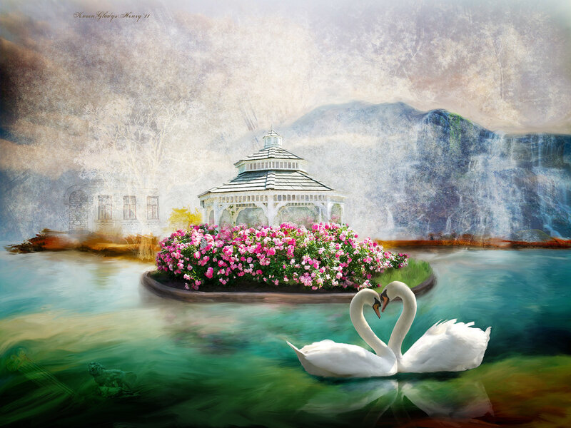 Two Swans in Water — White, Serene