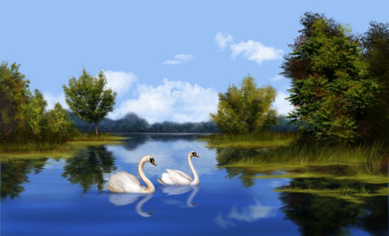 Two Swans on a Lake — Blue, Serene, Afternoon