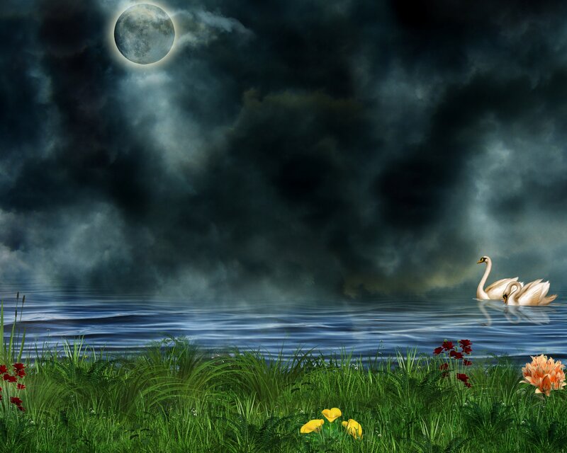 Two Swans on a Lake — Green, Dramatic