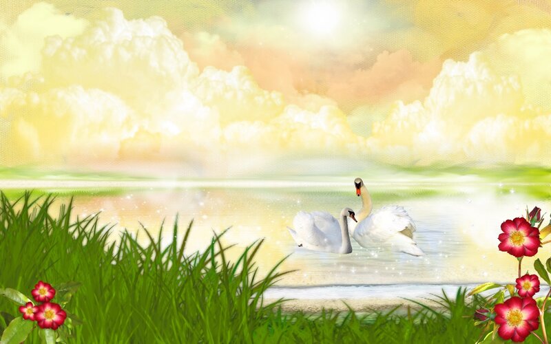 Two Swans on a Lake — Green, Serene, Sunrise