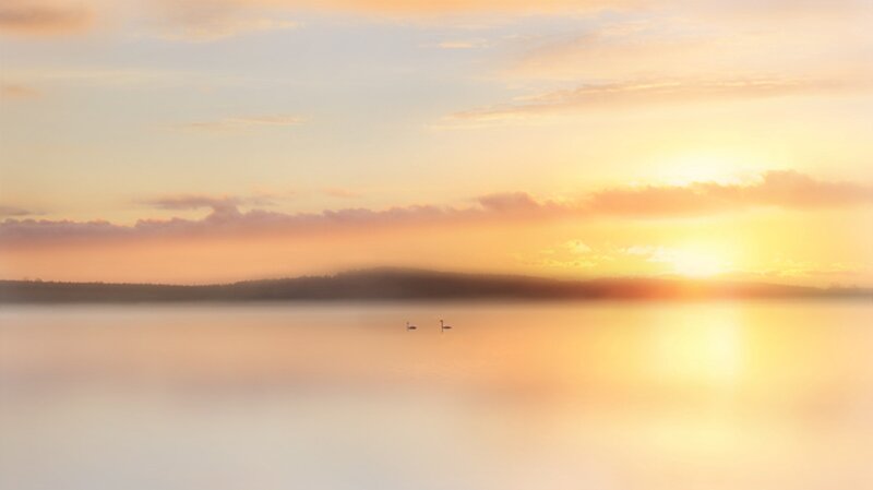 Two Swans on a Lake — Orange, Serene, Sunset, Photograph