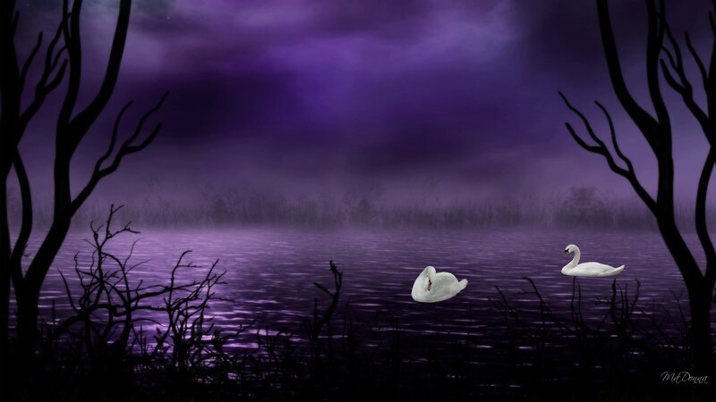 Two Swans on a Lake — Purple