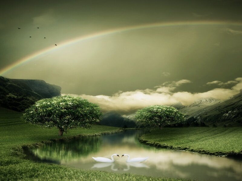 Two Swans on a Pond — Green, Serene, Afternoon