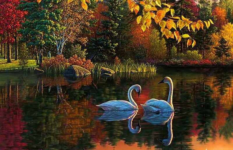 Two Swans on a Pond — Green, Serene, Autumn, Painting