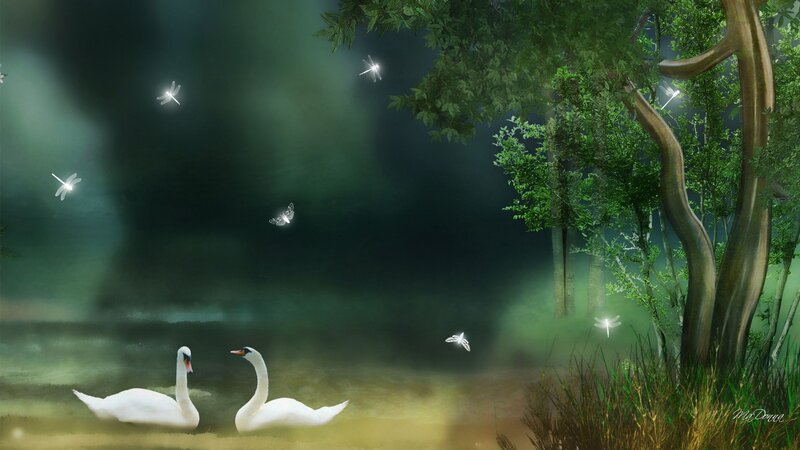 Two Swans on a Pond — Green, Serene, Night