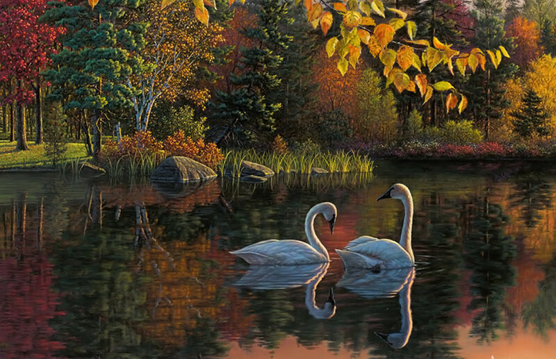 Two Swans on a Pond — Green