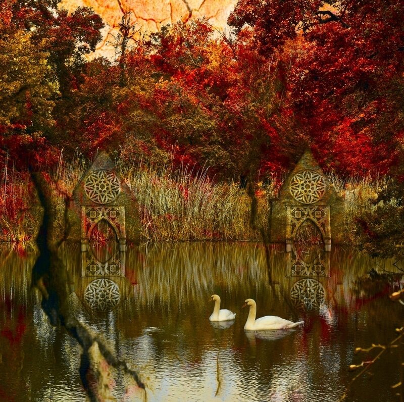 Two Swans on a Pond — Red