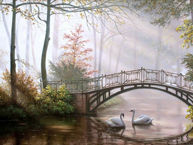 Two Swans on a Pond — White, Serene