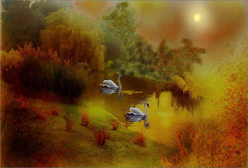 Two Swans on a River — Yellow