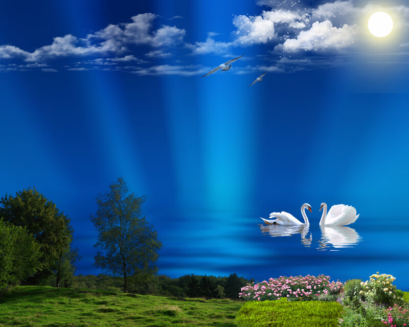 Two Swans on Lake — Blue