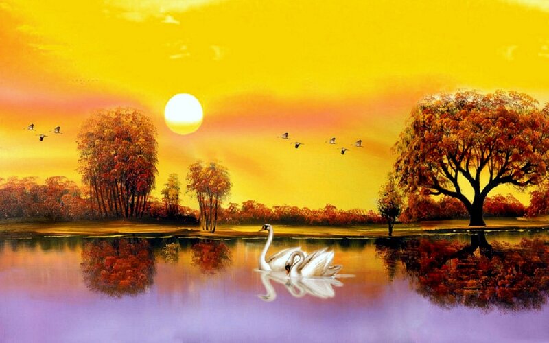 Two Swans on Lake — Yellow