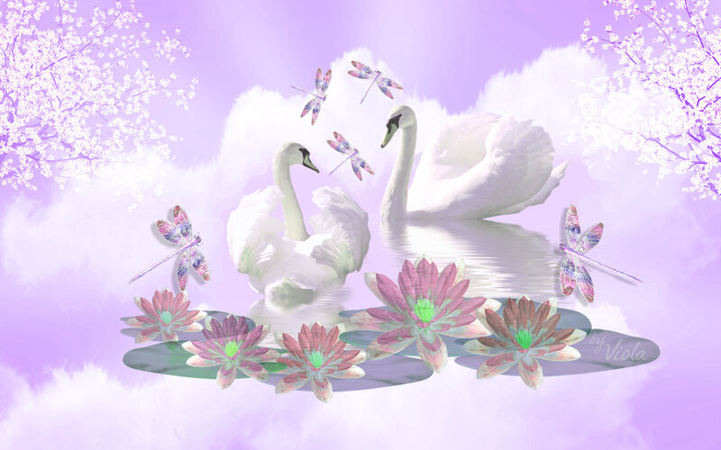 Two Swans on Pond — Purple