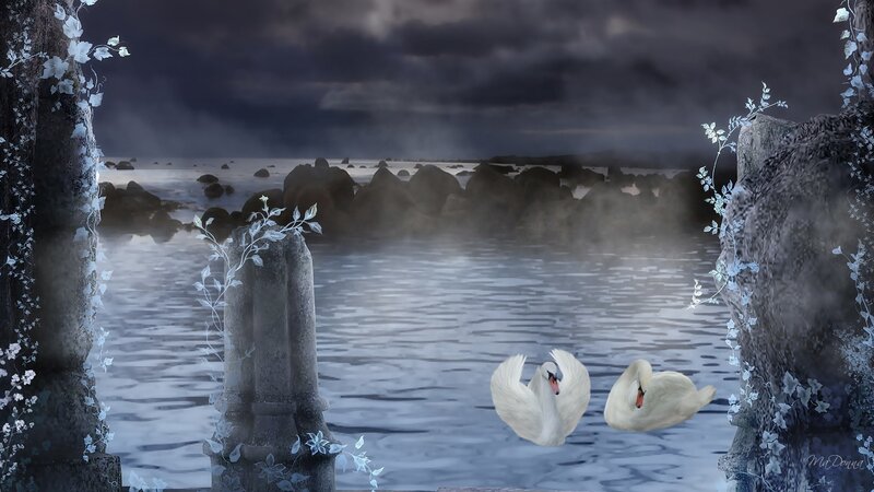 Two Swans on Water — Blue, Dramatic