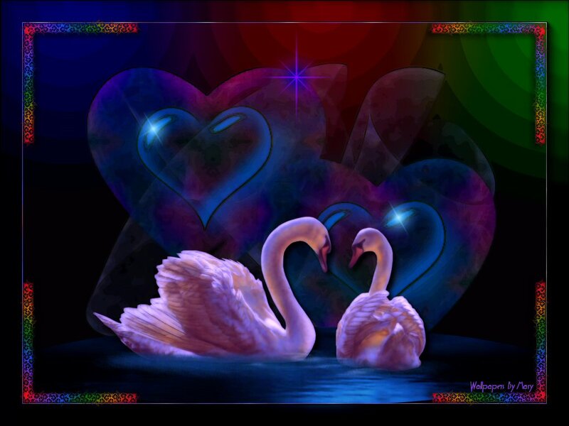 Two Swans on Water — Blue, Romantic