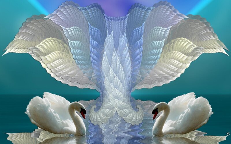 Two Swans on Water — Blue, Serene, Digital Art, Fractal Wings