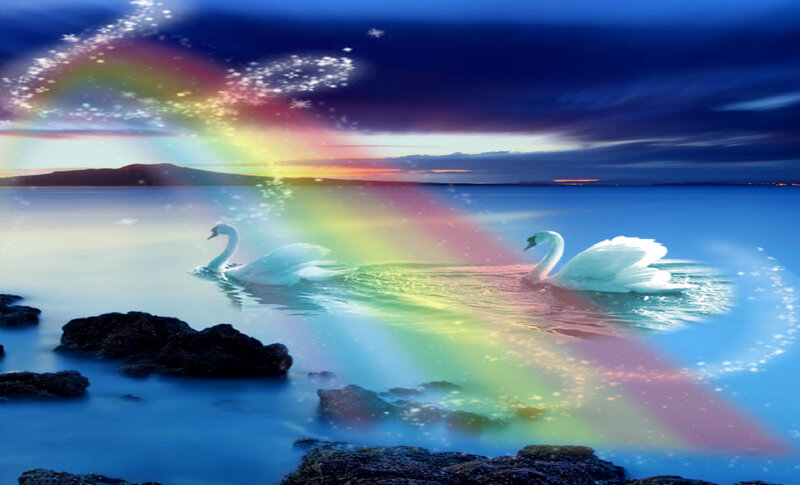 Two Swans on Water — Blue, Serene, Sunset, Digital Art, Rainbow