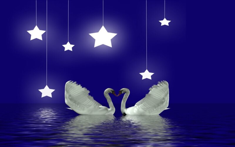 Two Swans on Water — Blue, Serene