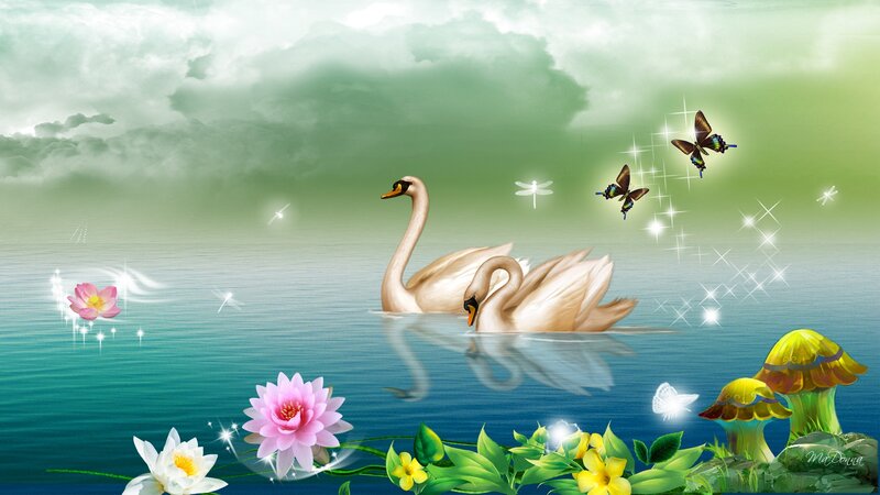 Two Swans on Water — Green, Serene, Morning