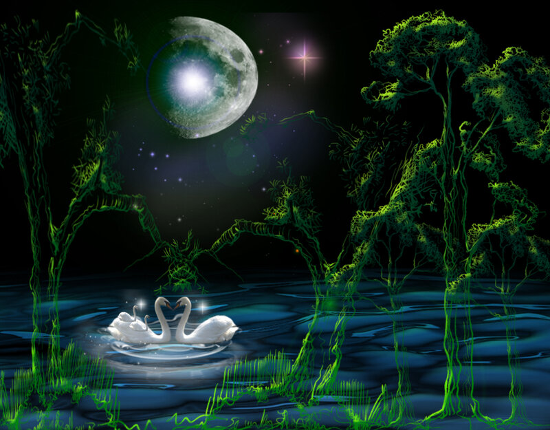 Two Swans on Water — Green, Serene, Night
