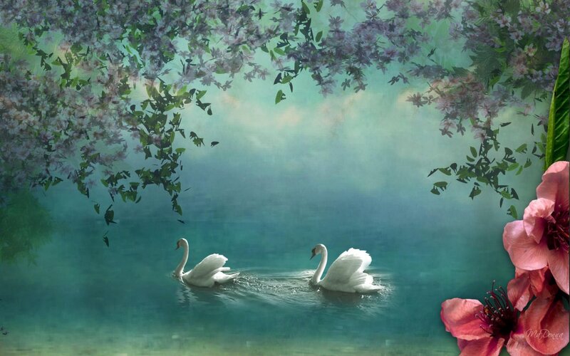 Two Swans on Water — Green, Serene, Spring