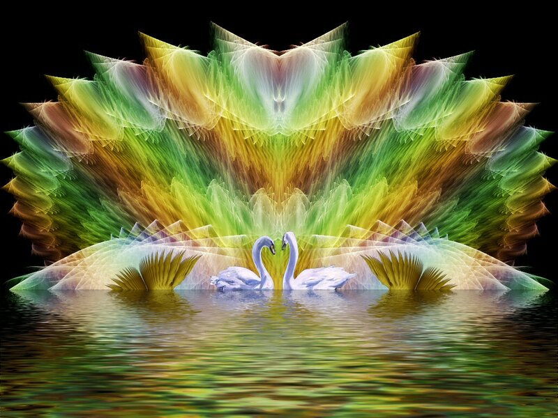 Two Swans on Water — Green, Serene